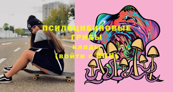 Альфа ПВП Алексеевка