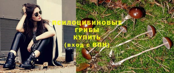 тгк Алзамай