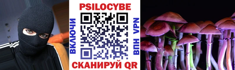 Галлюциногенные грибы мицелий  купить наркотик  Красноярск 